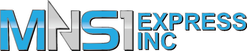 MNS1-Logo